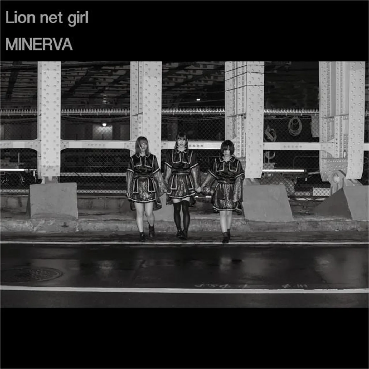 Lion net girl