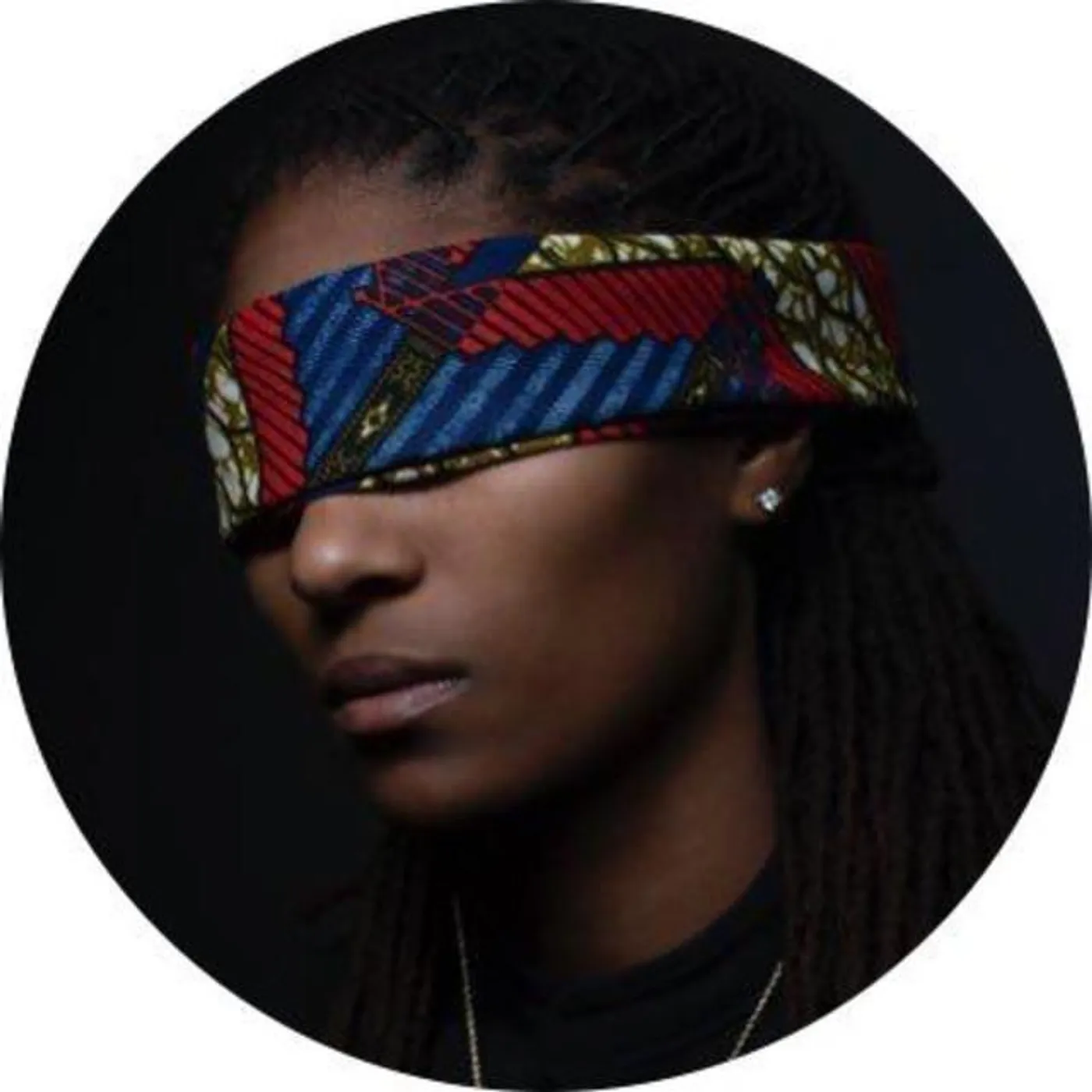 The Lioness Brand Page