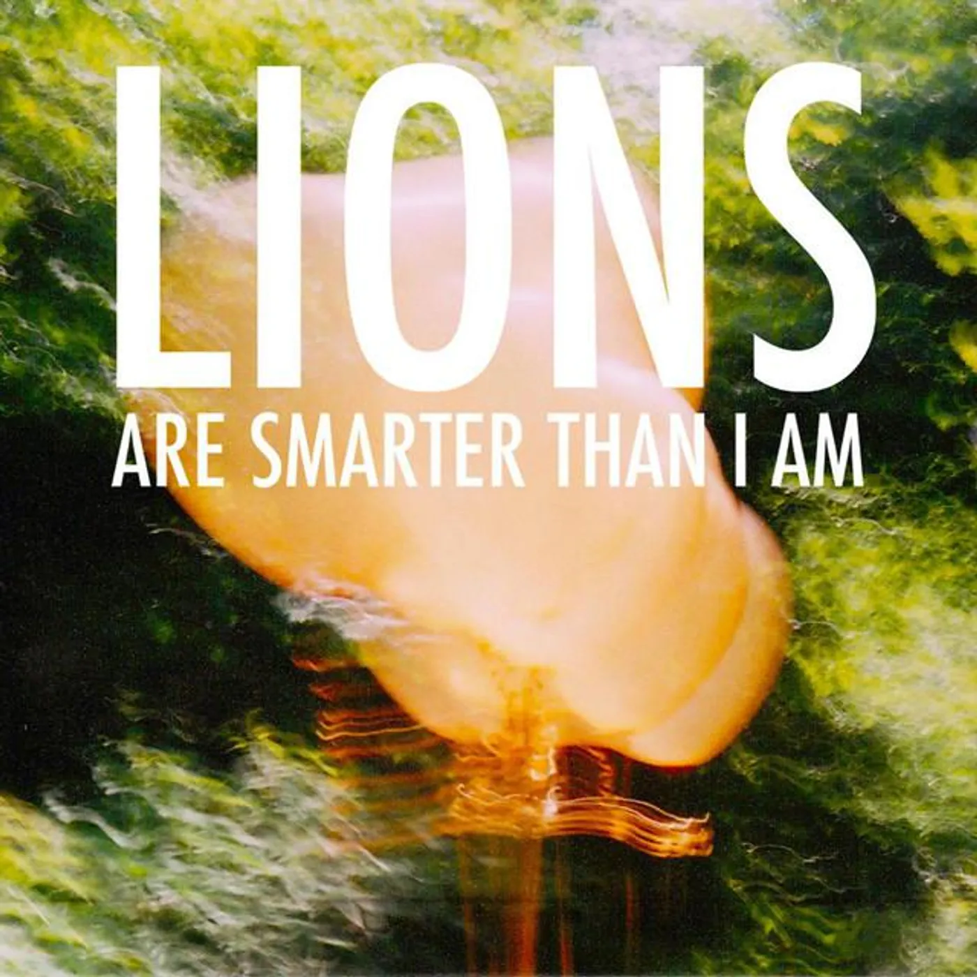 Lions Are Smarter Than I Am