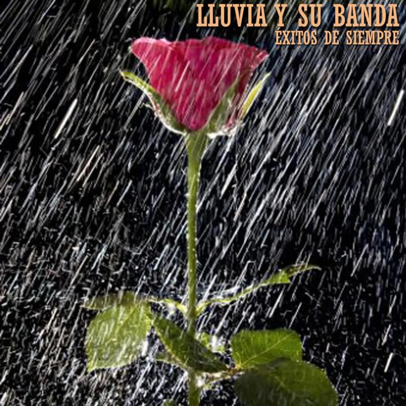 Lluvia y su Banda