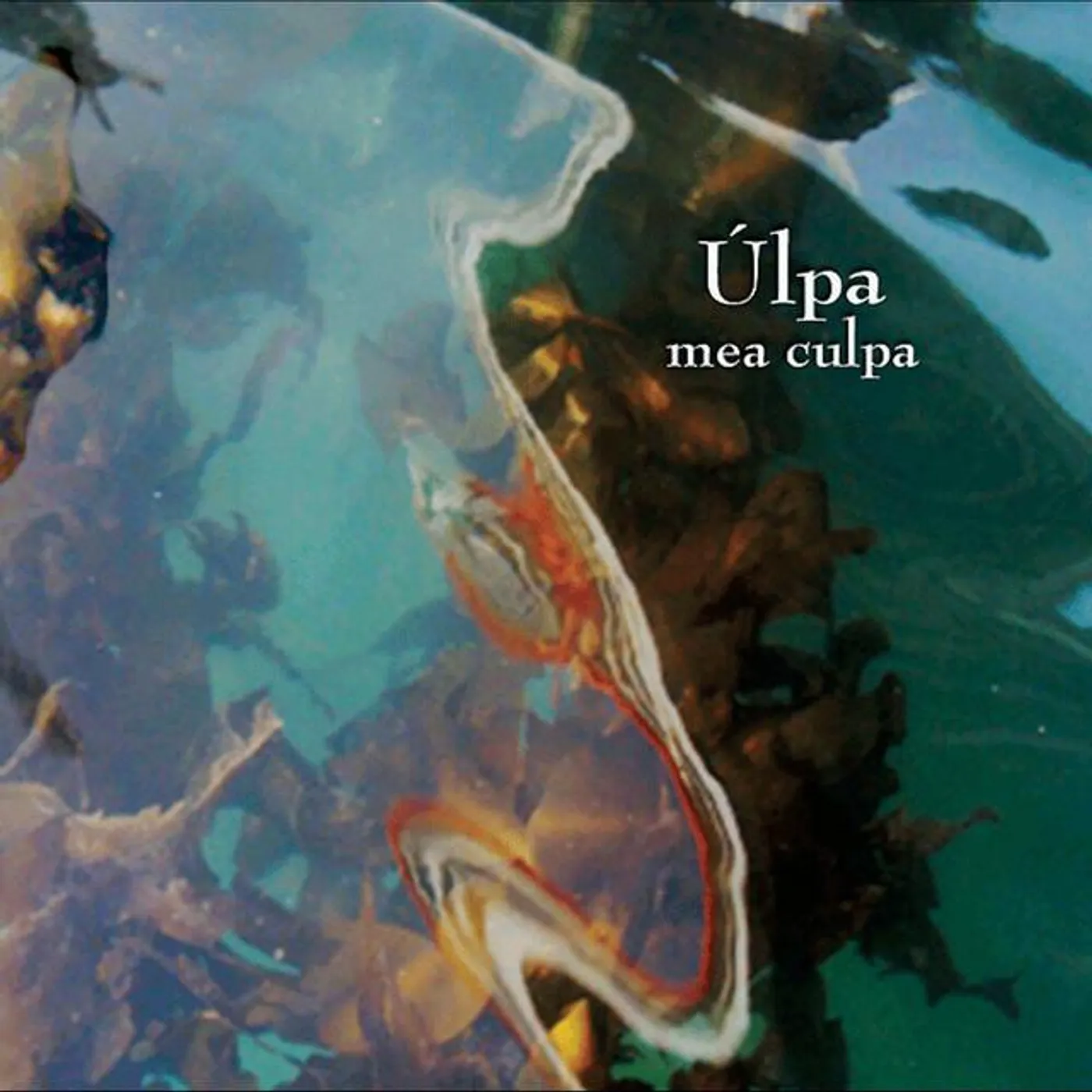 Úlpa Brand Page