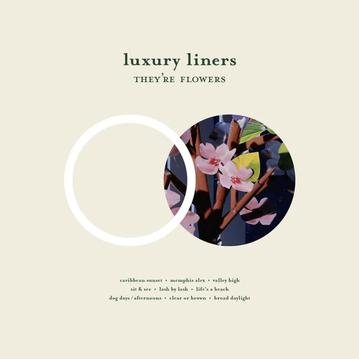 Luxury Liners Brand Page