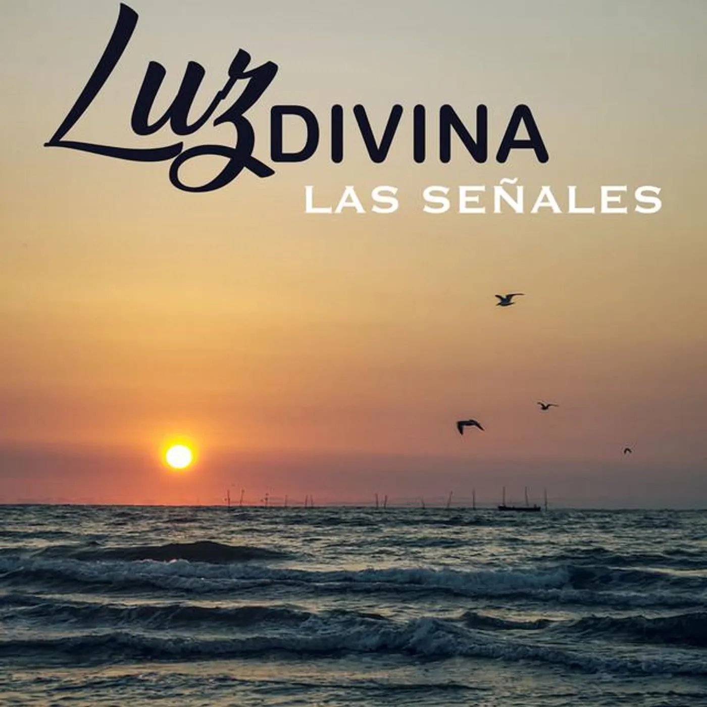 Luz Divina Brand Page