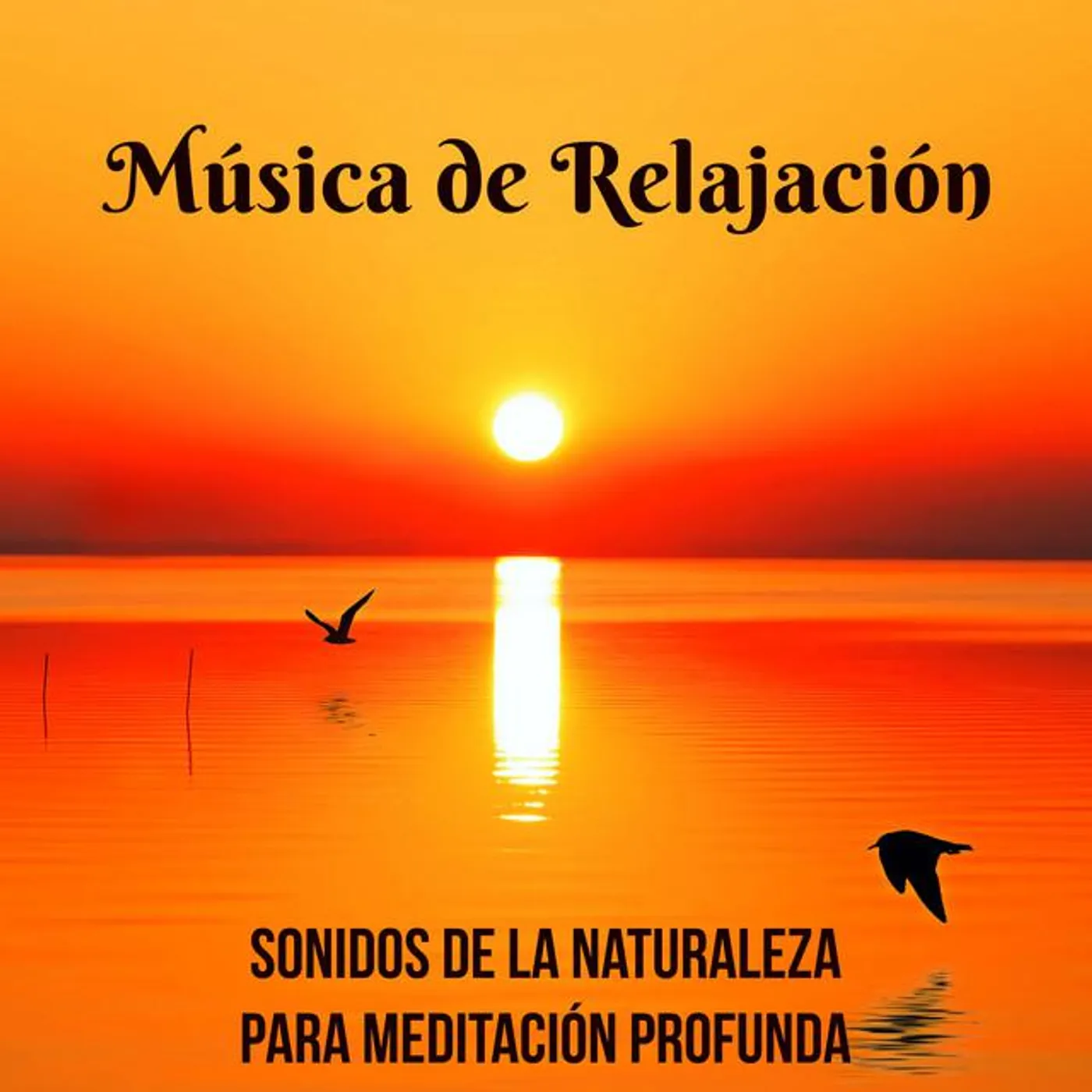 Lucia Guiada Brand Page