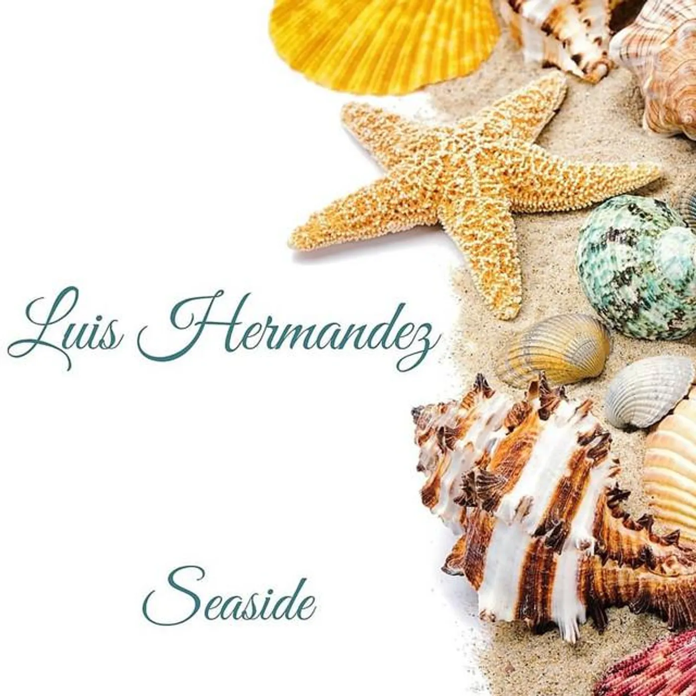 Luis Hermandez Brand Page