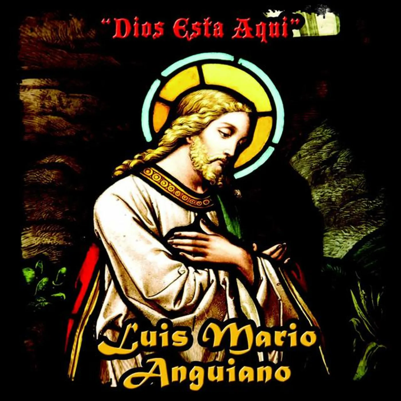 Luis Mario Anguiano Brand Page