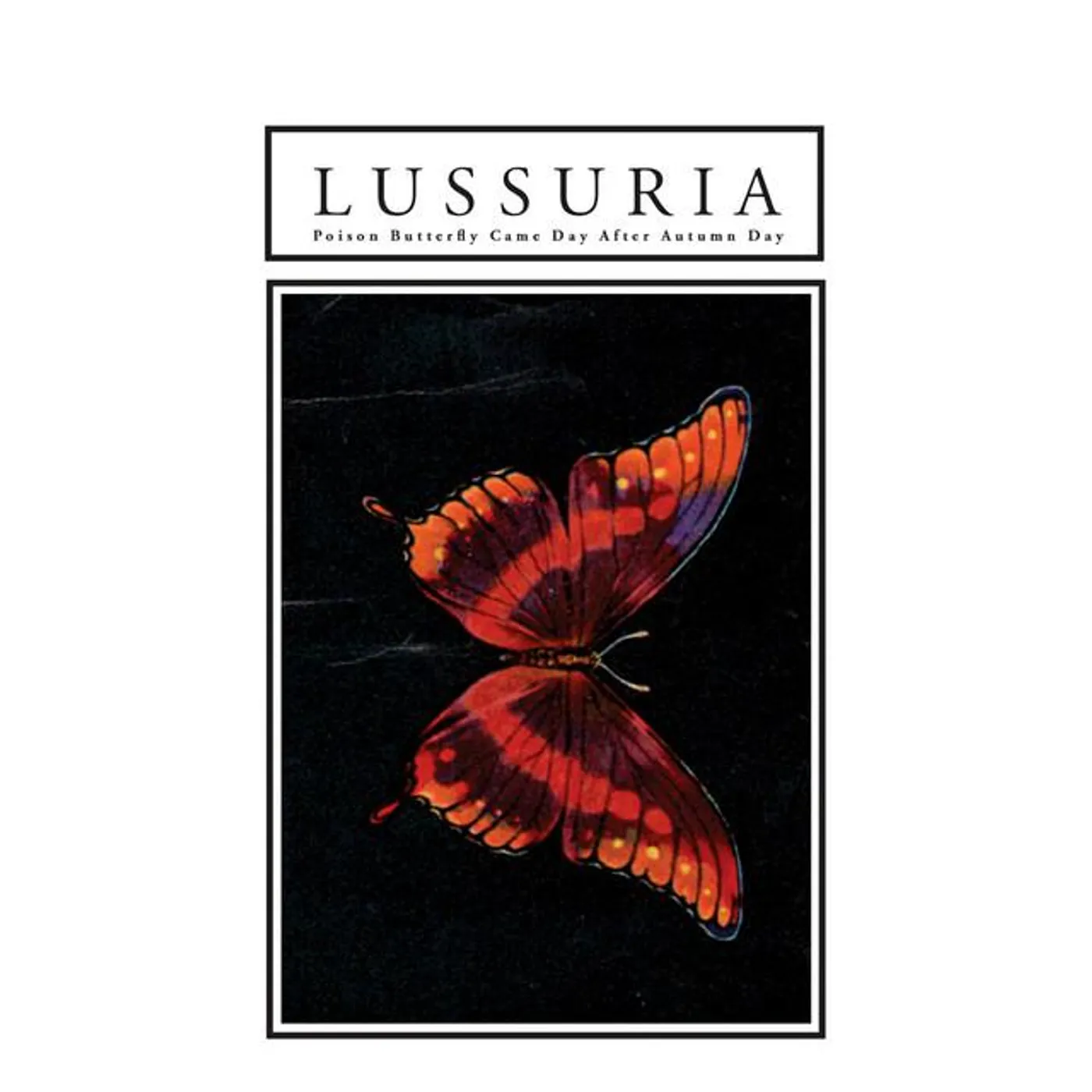 Lussuria Brand Page