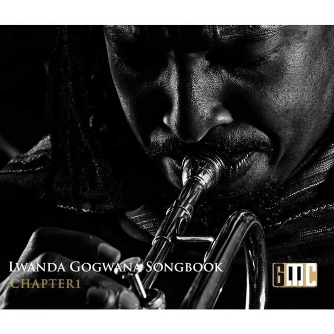 Lwanda Gogwana Brand Page