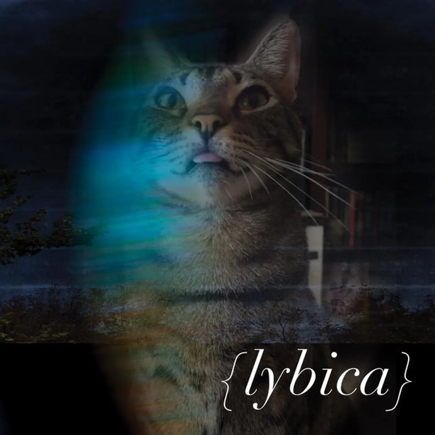 Lybica Brand Page