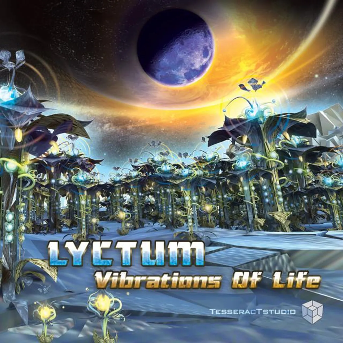 Lyctum