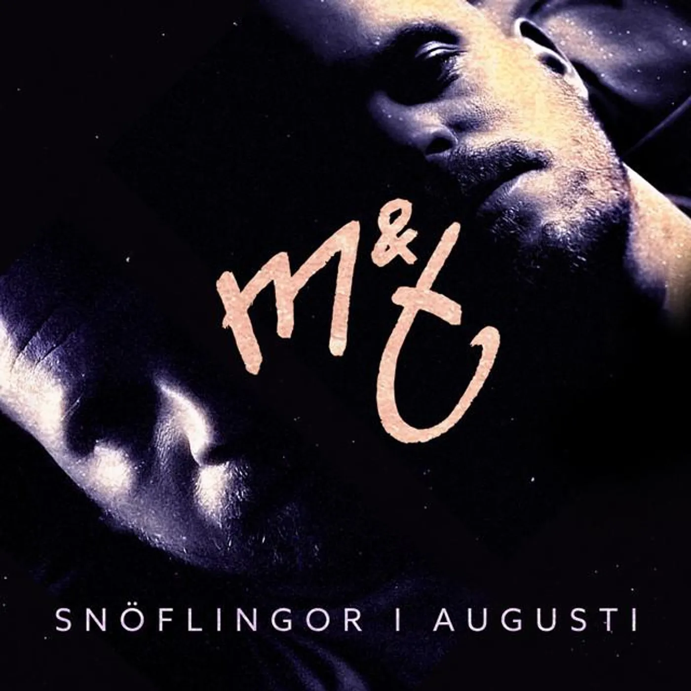 M & T