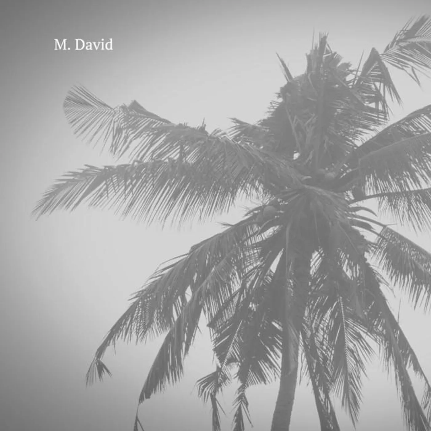 M. David Brand Page