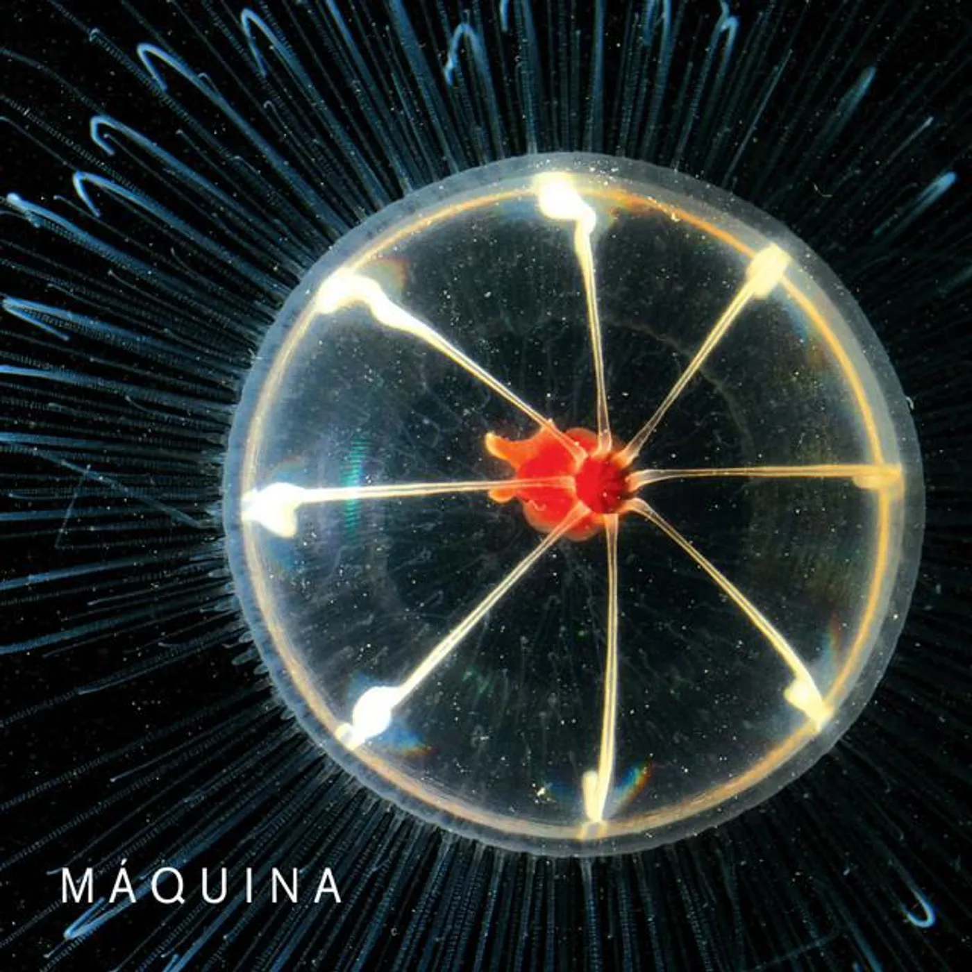Máquina Brand Page
