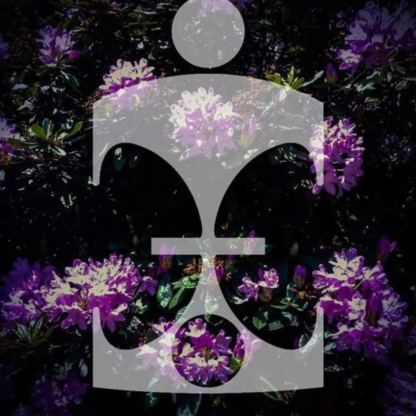 The Mothers Earth Experiment Brand Page