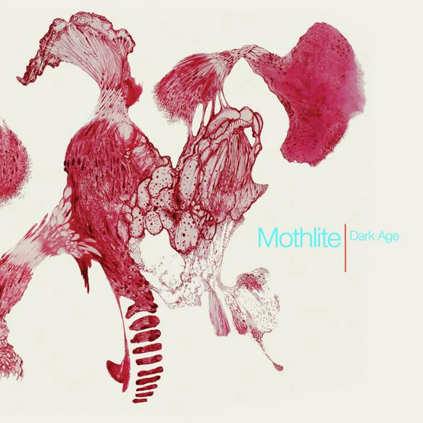 Mothlite