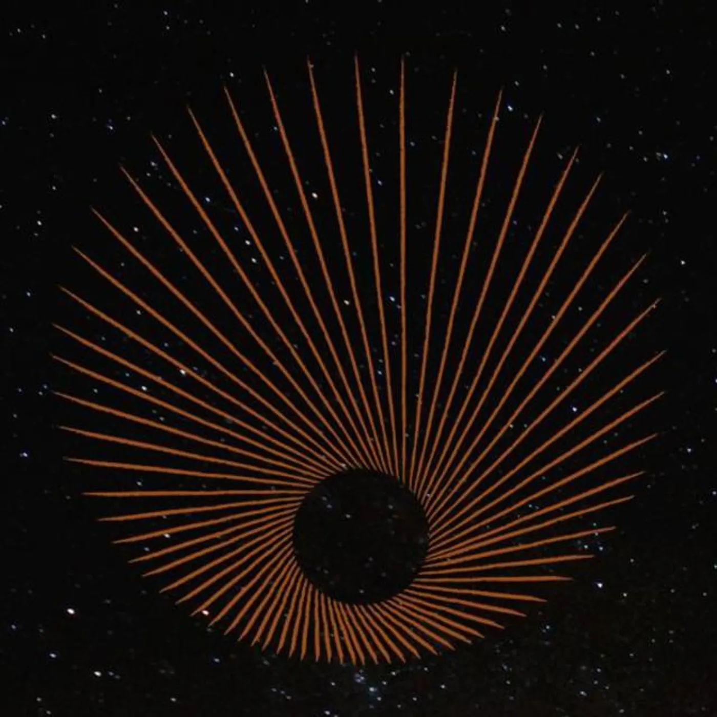 The Motion Orchestra Brand Page