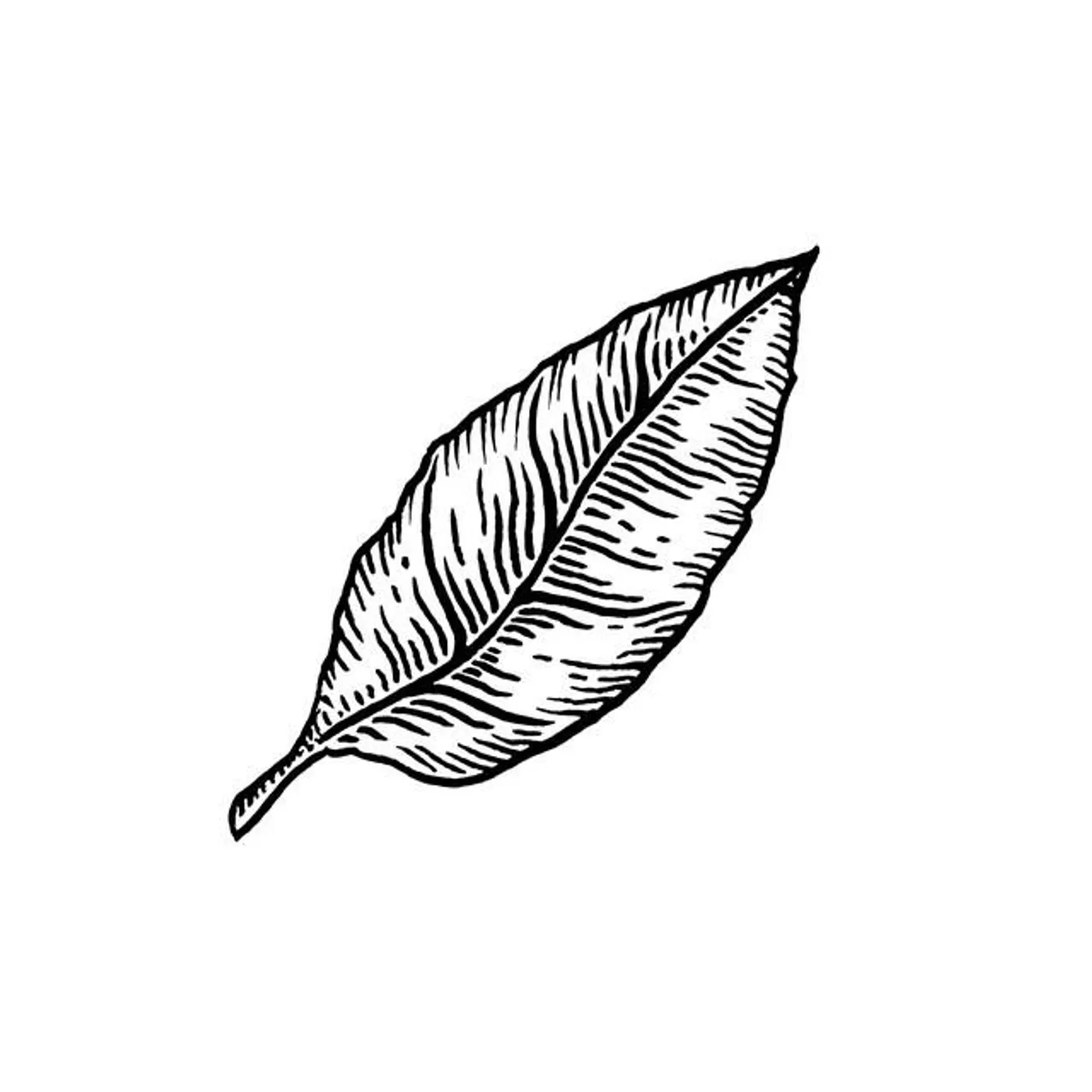 Moura Brand Page