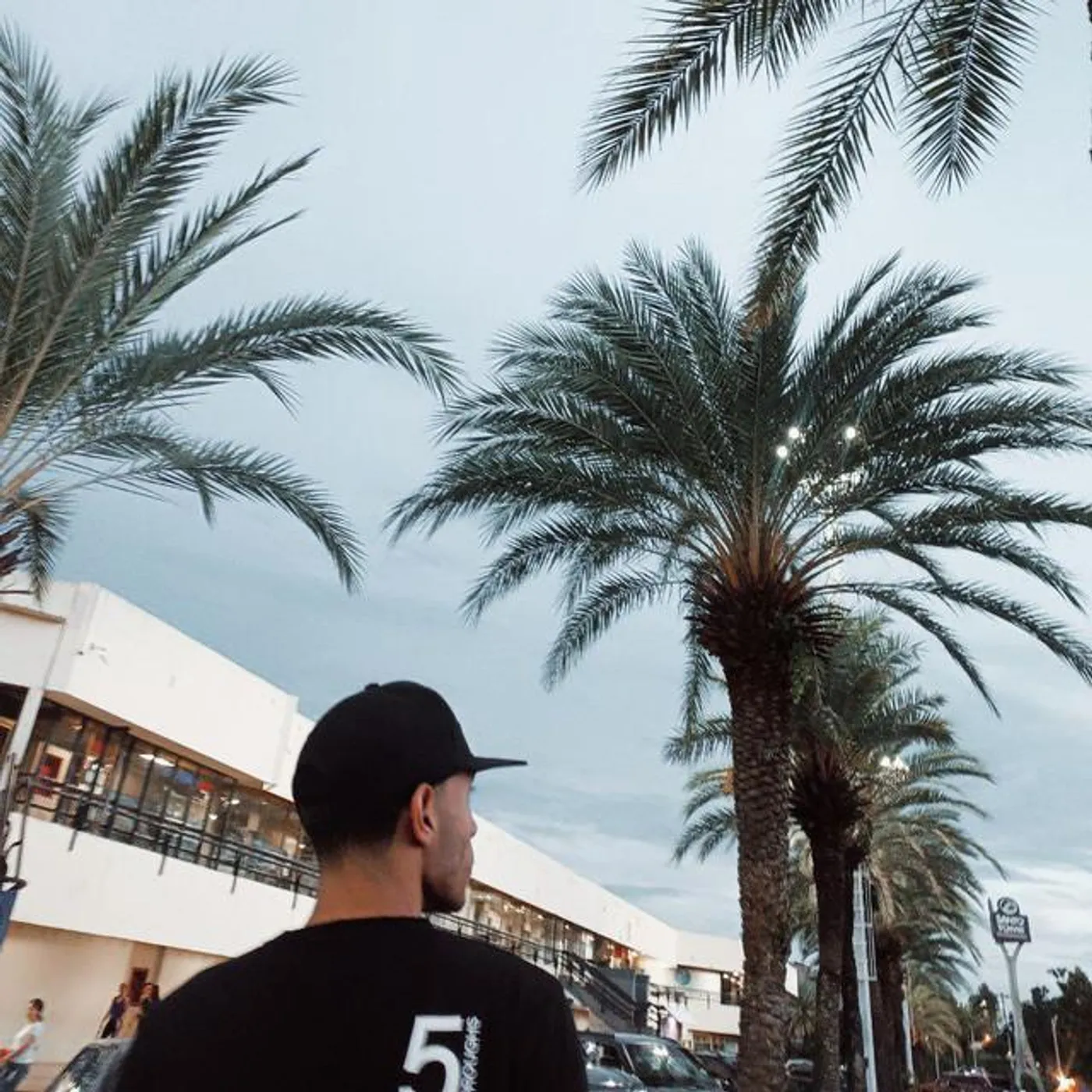 Modern Culture Brand Page