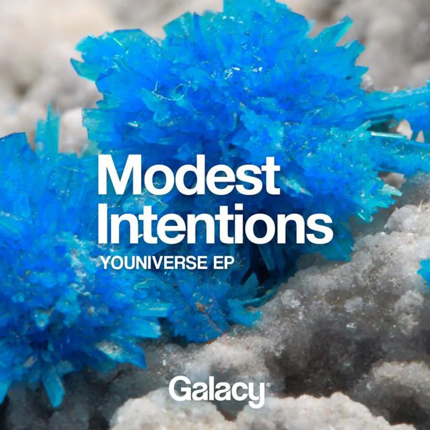 Modest Intentions