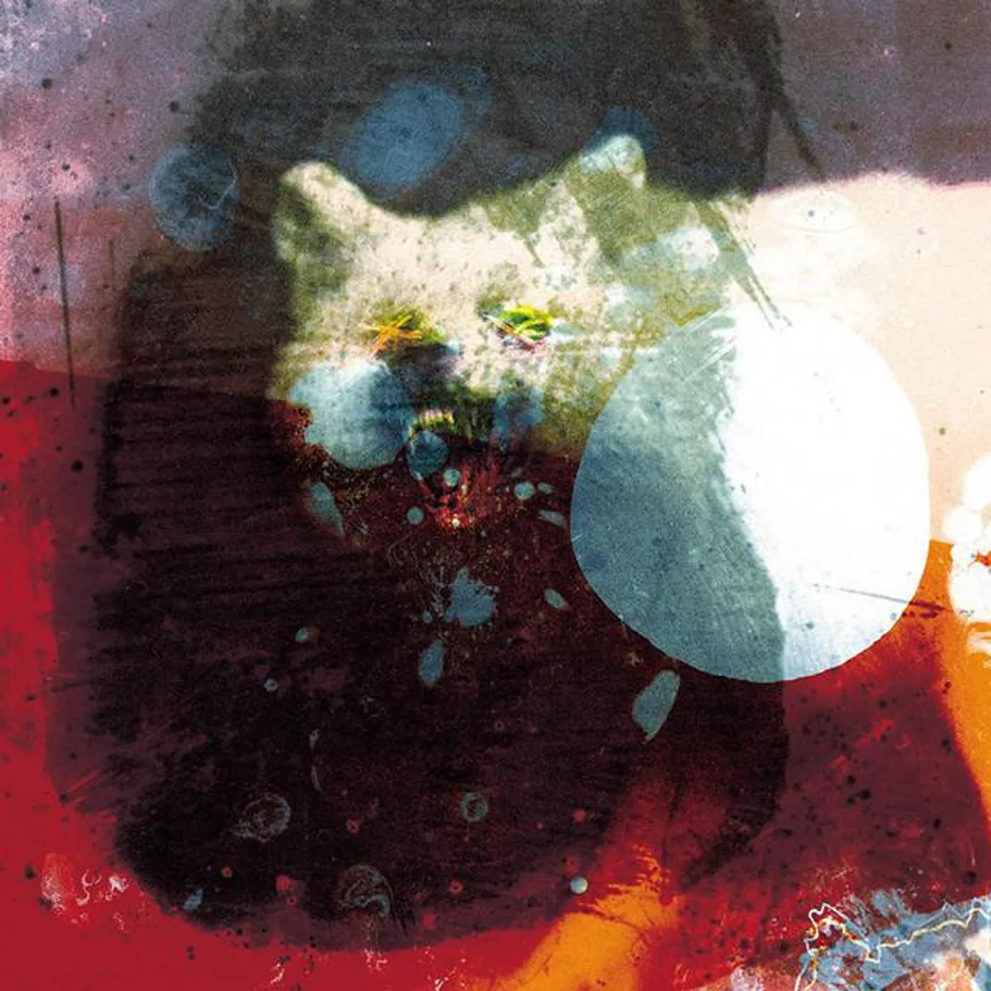Mogwai Brand Page