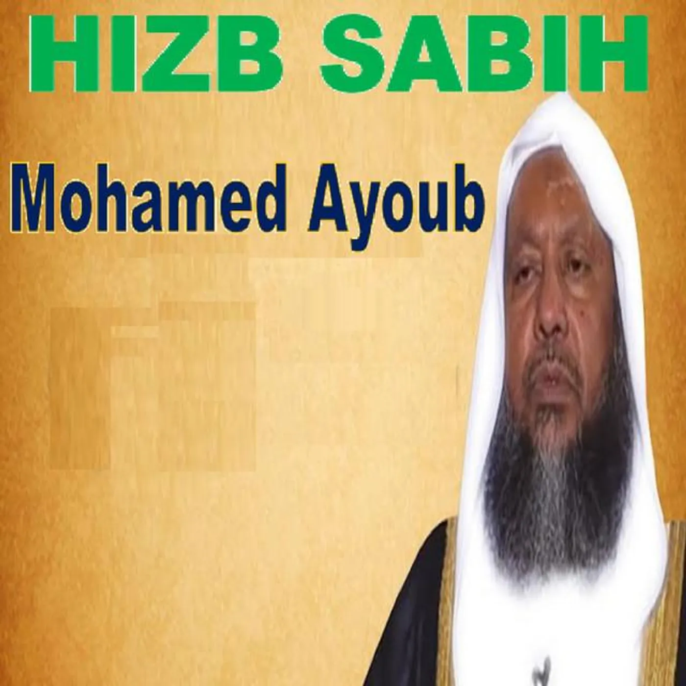 Mohamed Ayoub