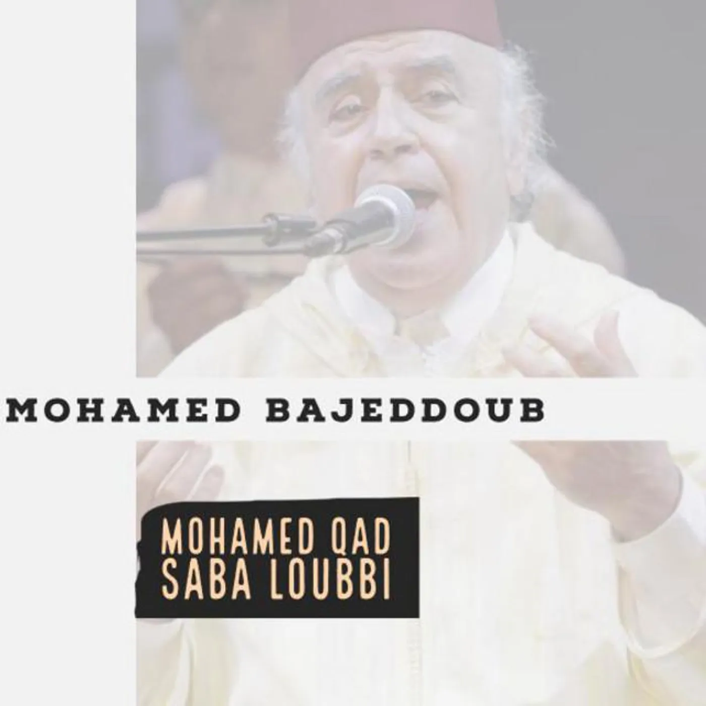 Mohamed Bajeddoub