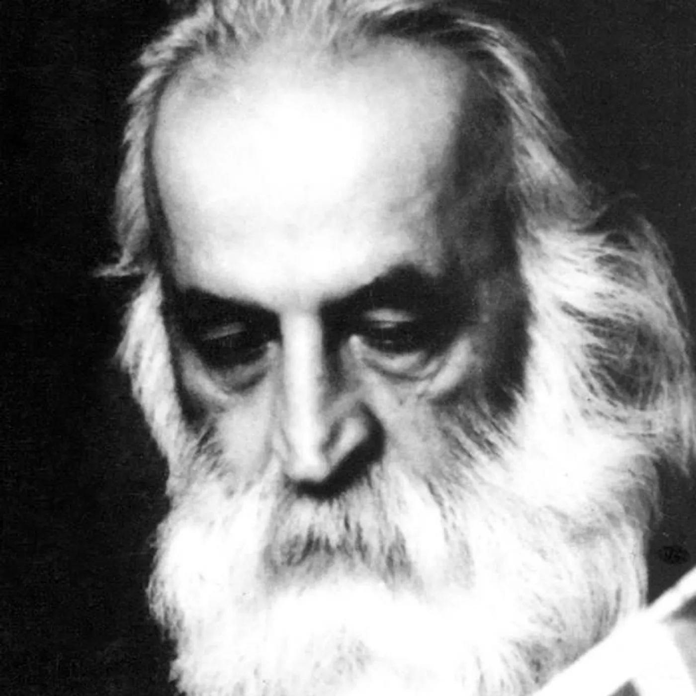 Mohammad Reza Lotfi Brand Page