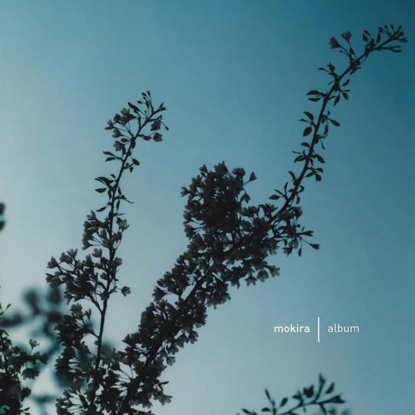 Mokira Brand Page