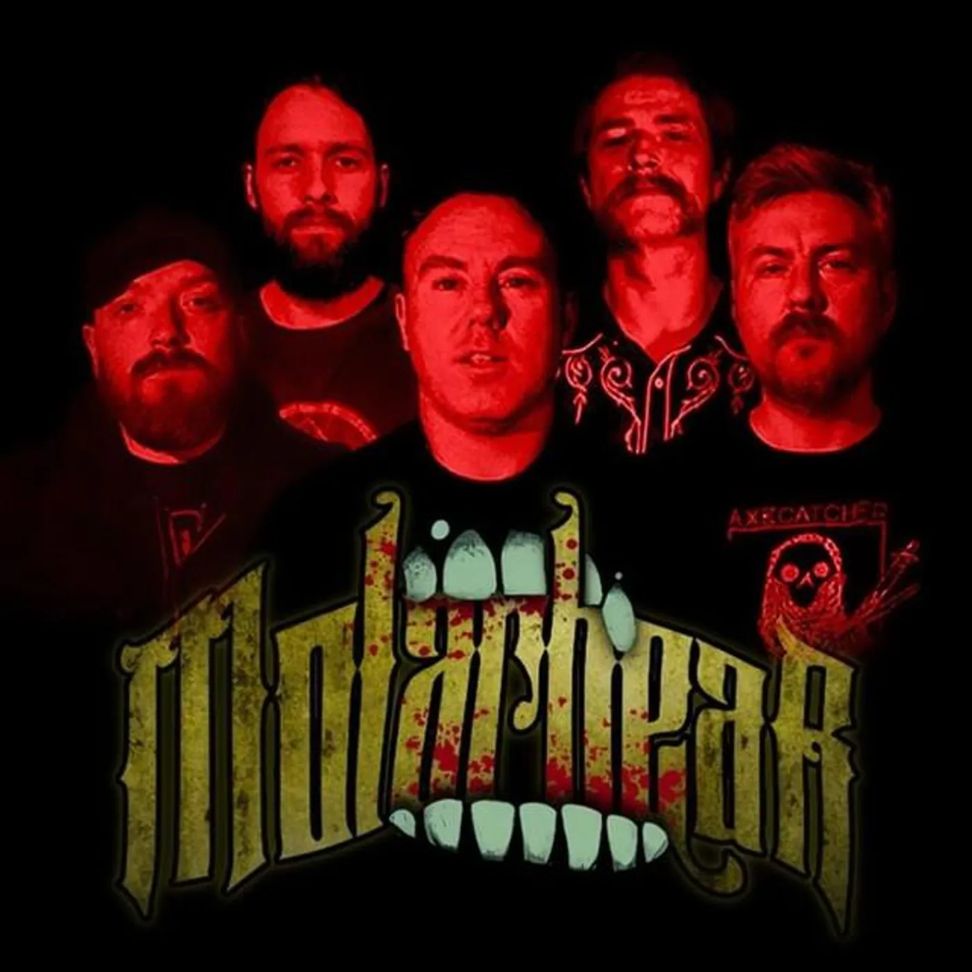 Molarbear Brand Page