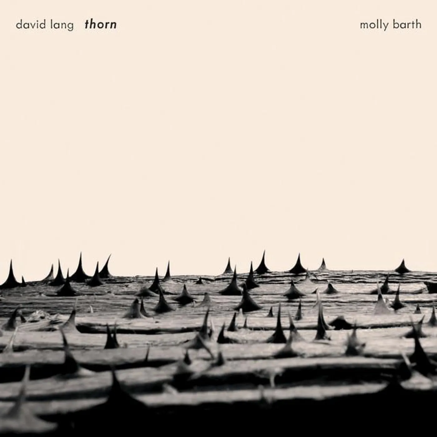 Molly Barth