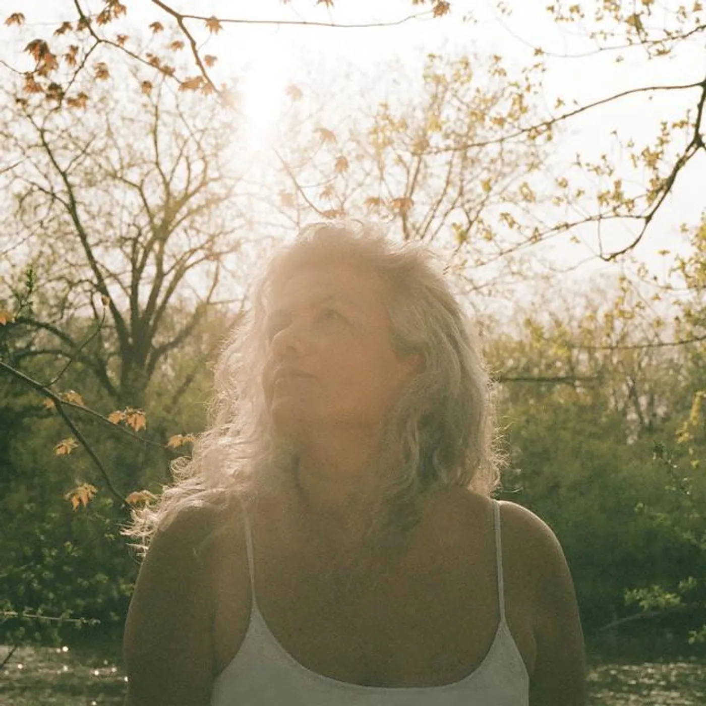 Mônica Freire