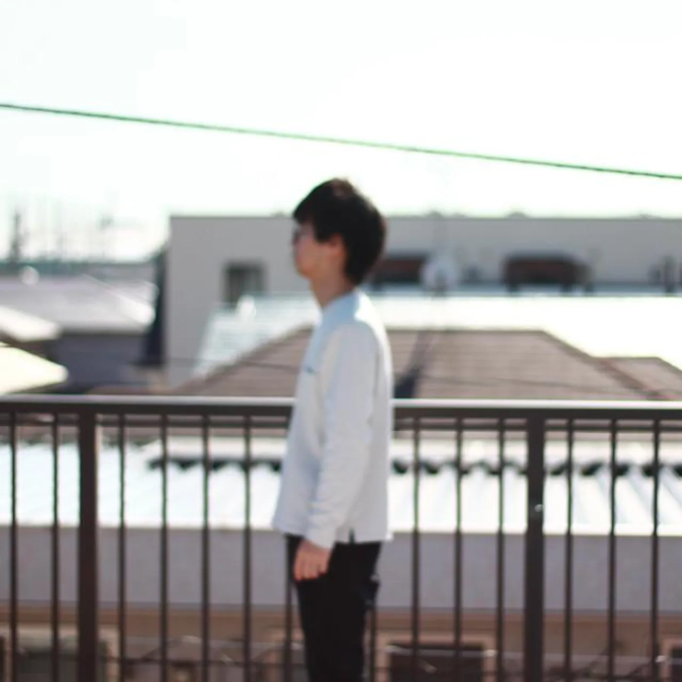 morimoto naoki