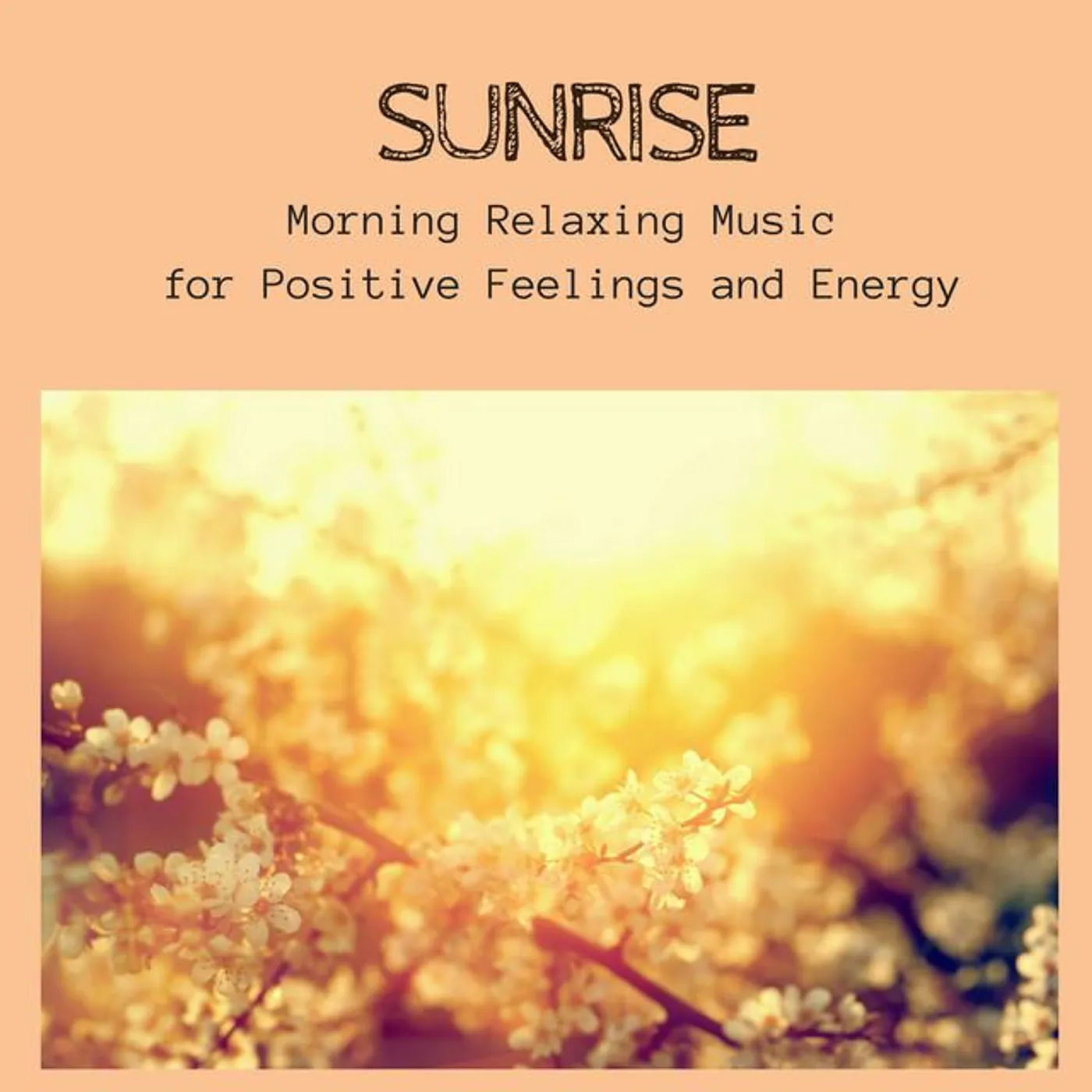 Morning Meditation Music Academy