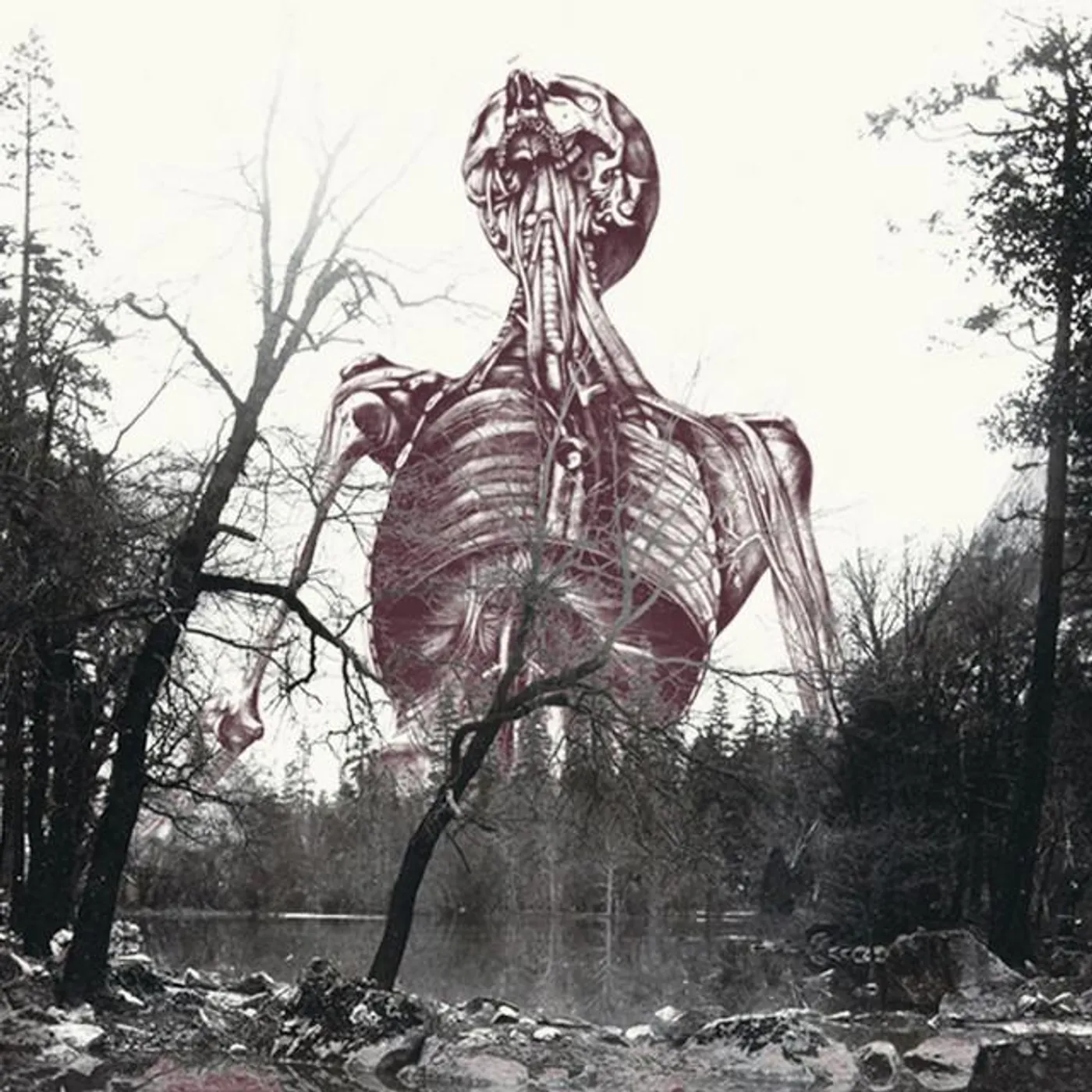 Mortuus