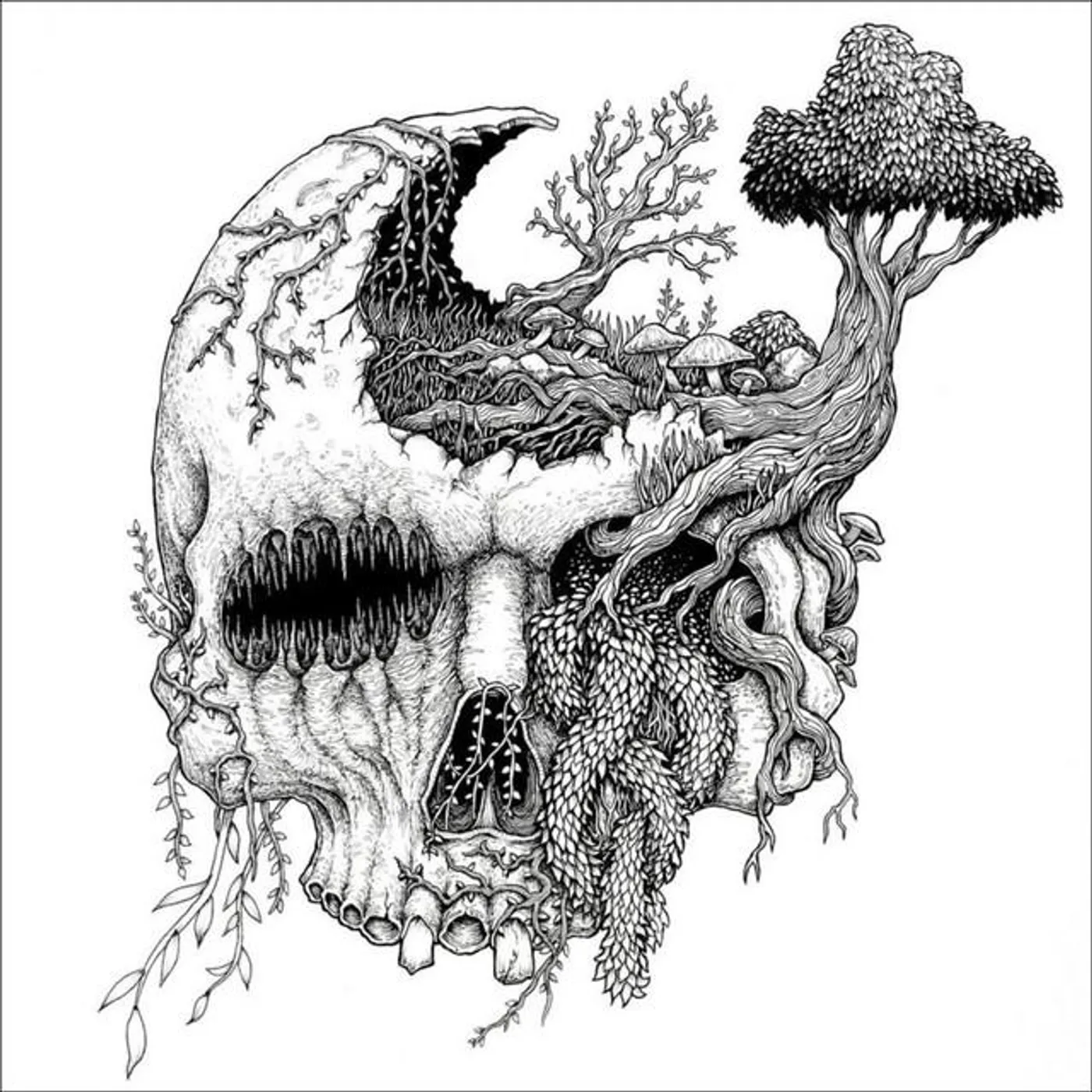 Moss Upon The Skull