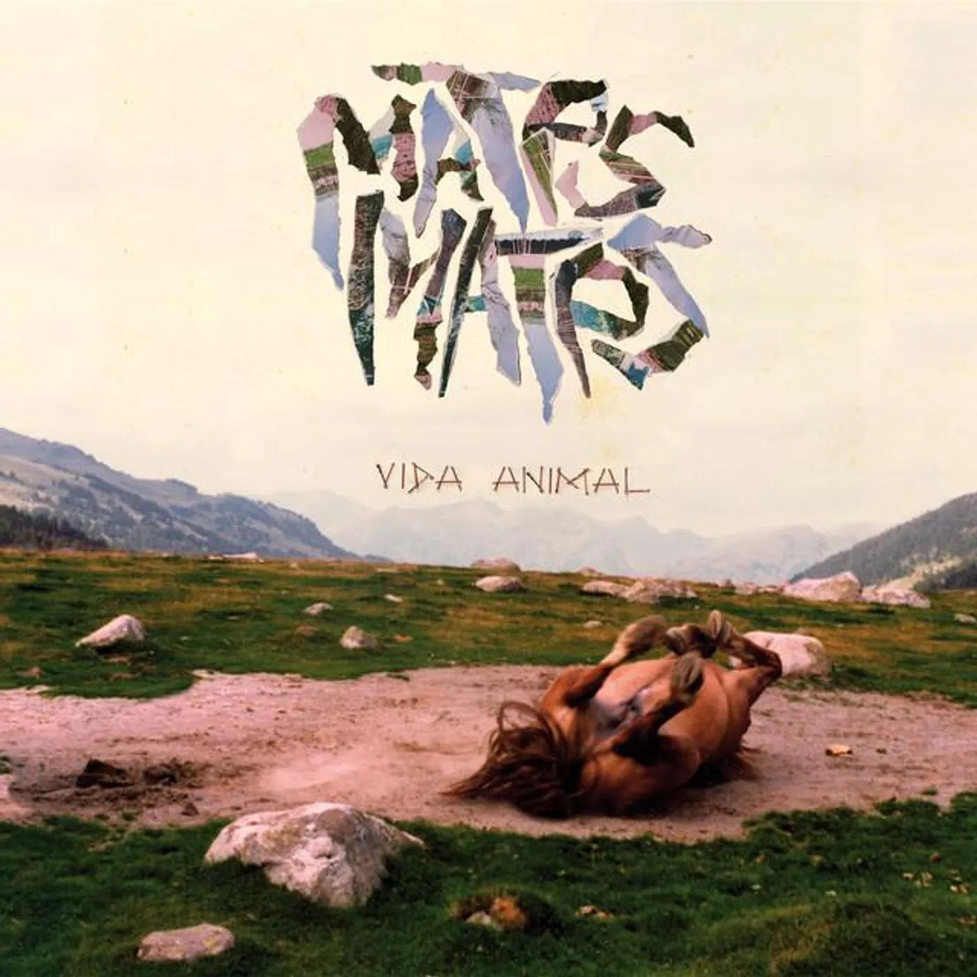 Mates Mates Brand Page