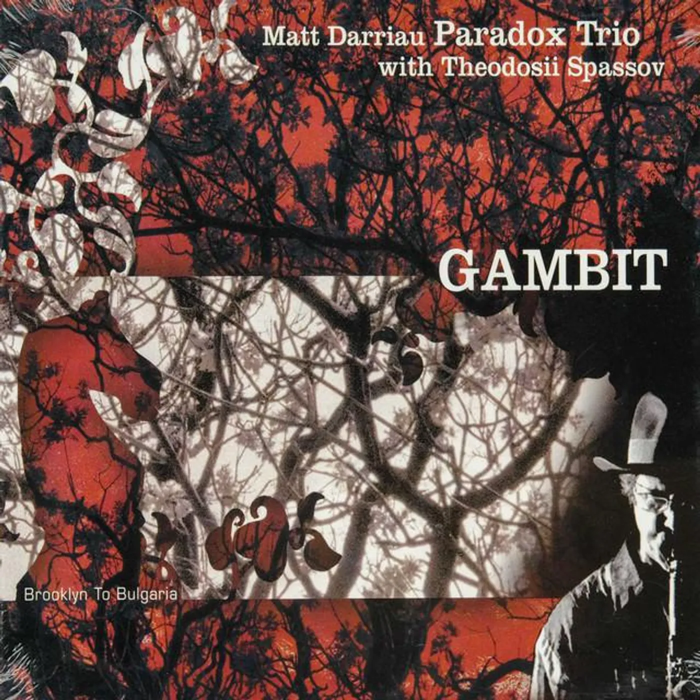 Matt Darriau Paradox Trio