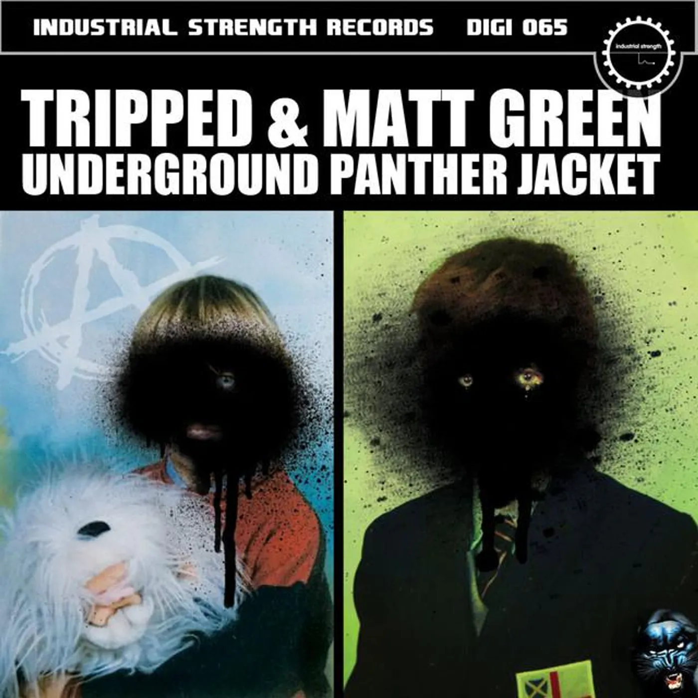 Matt Green