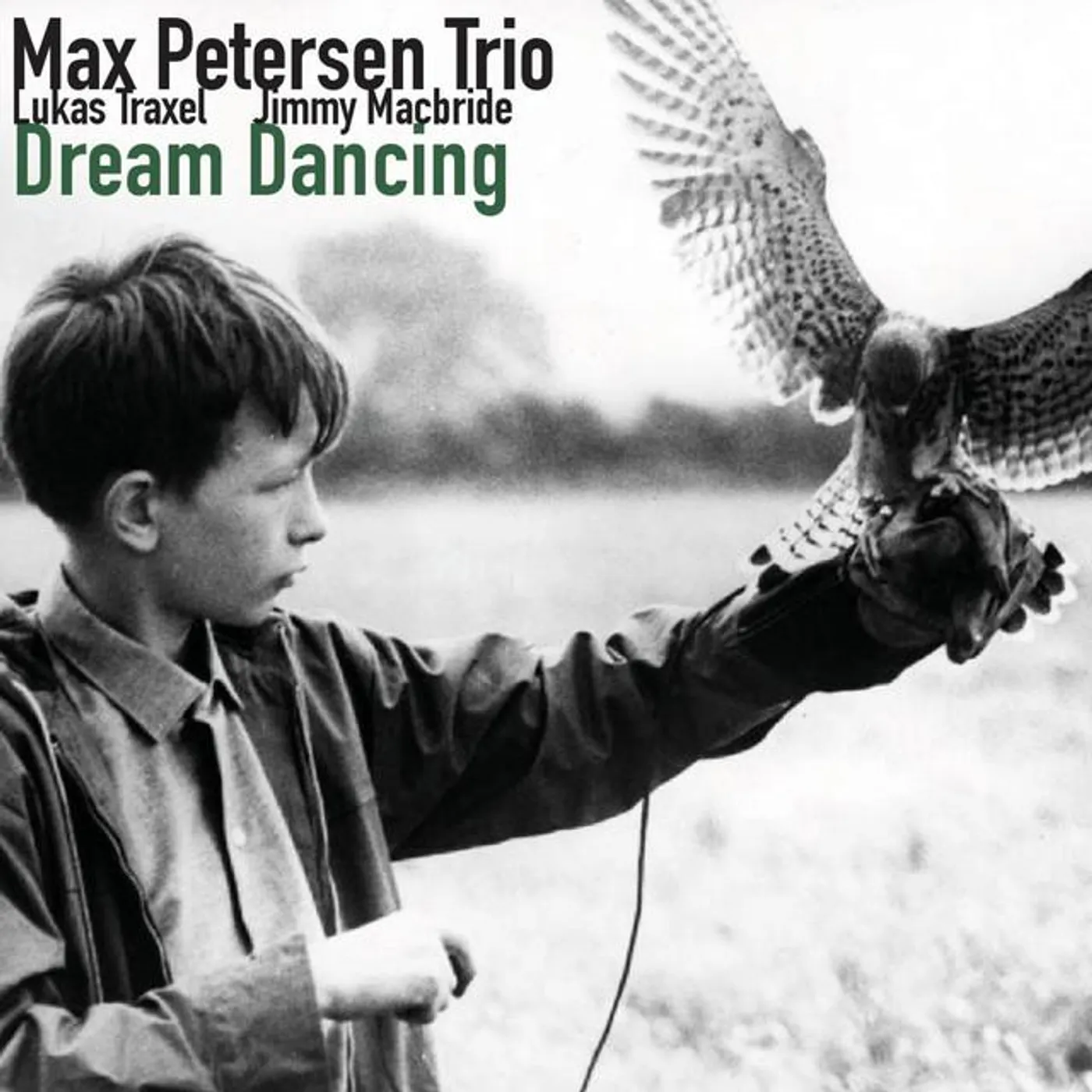 Max Petersen Trio Brand Page