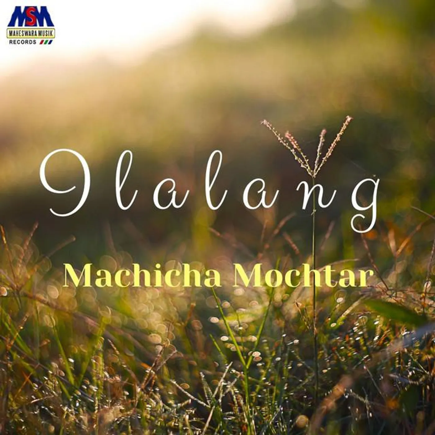 Machicha Mochtar
