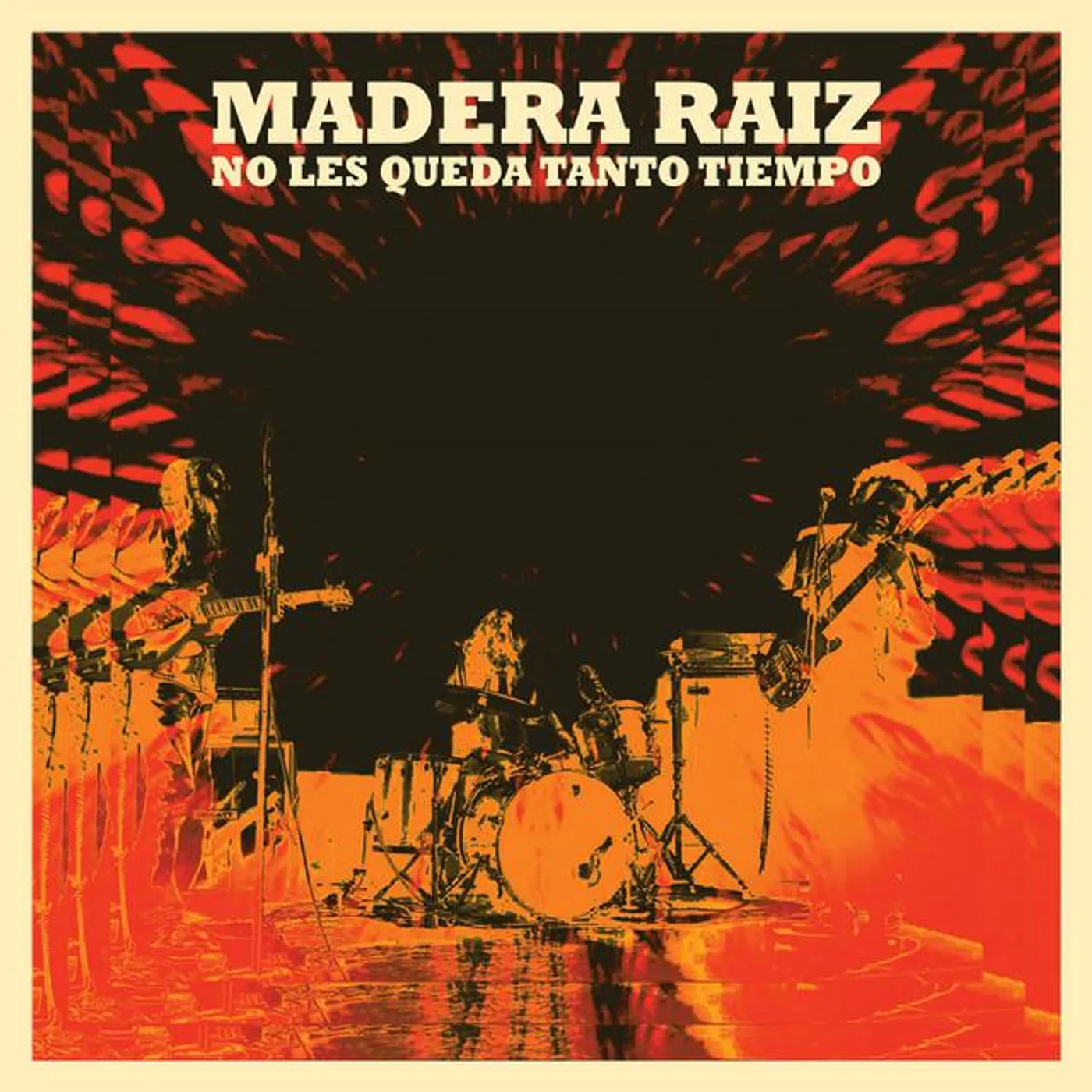 Madera Raíz Brand Page