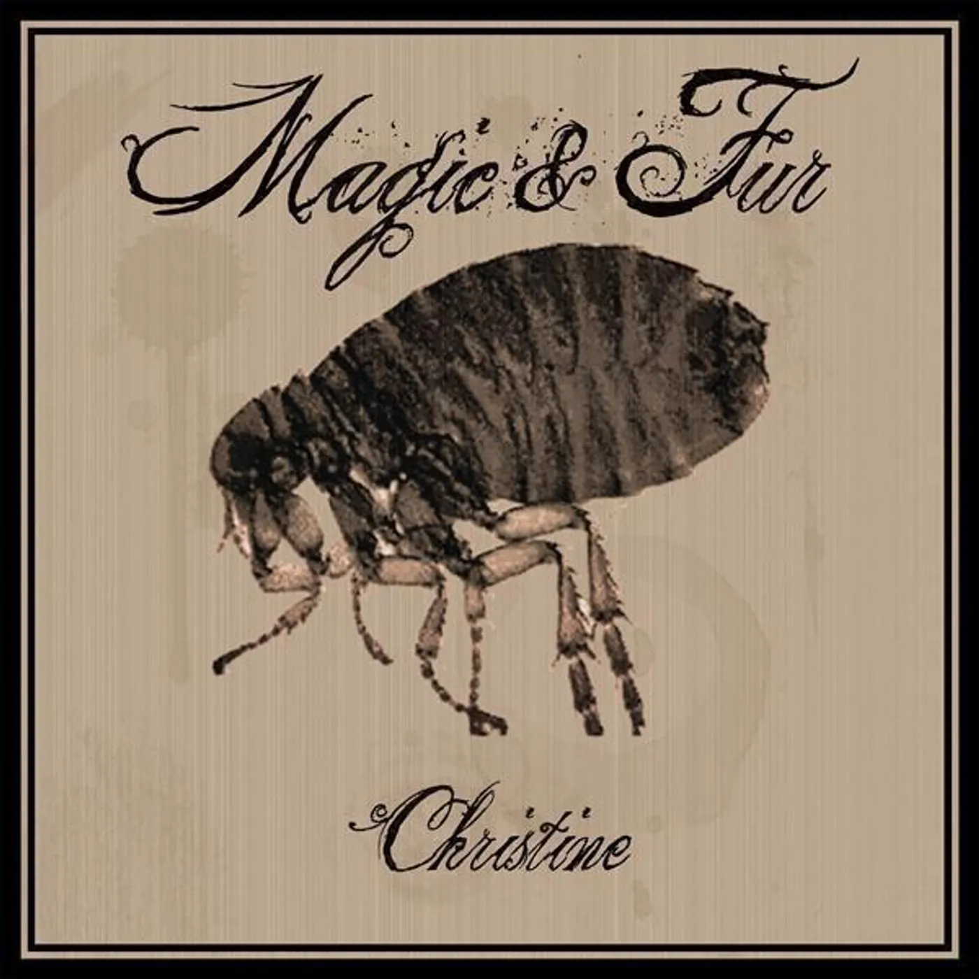 Magic & Fur