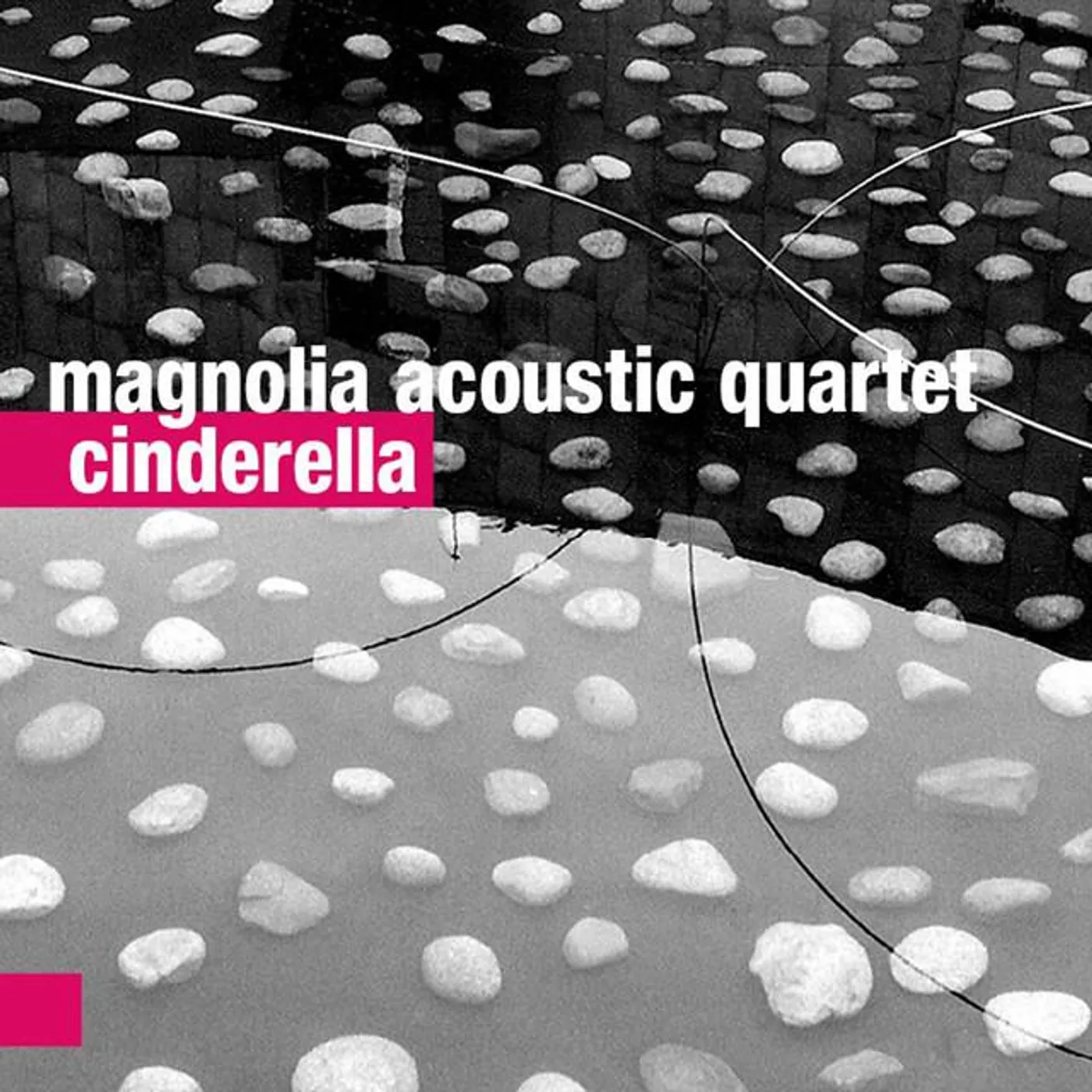 Magnolia Acoustic Quartet