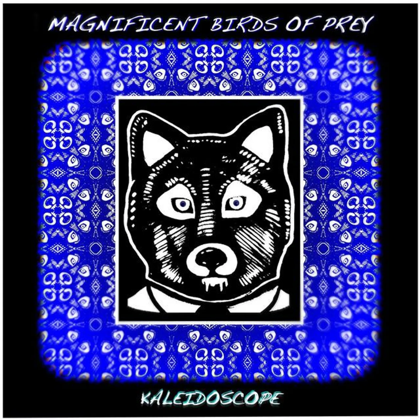 Magnificent Birds Of Prey