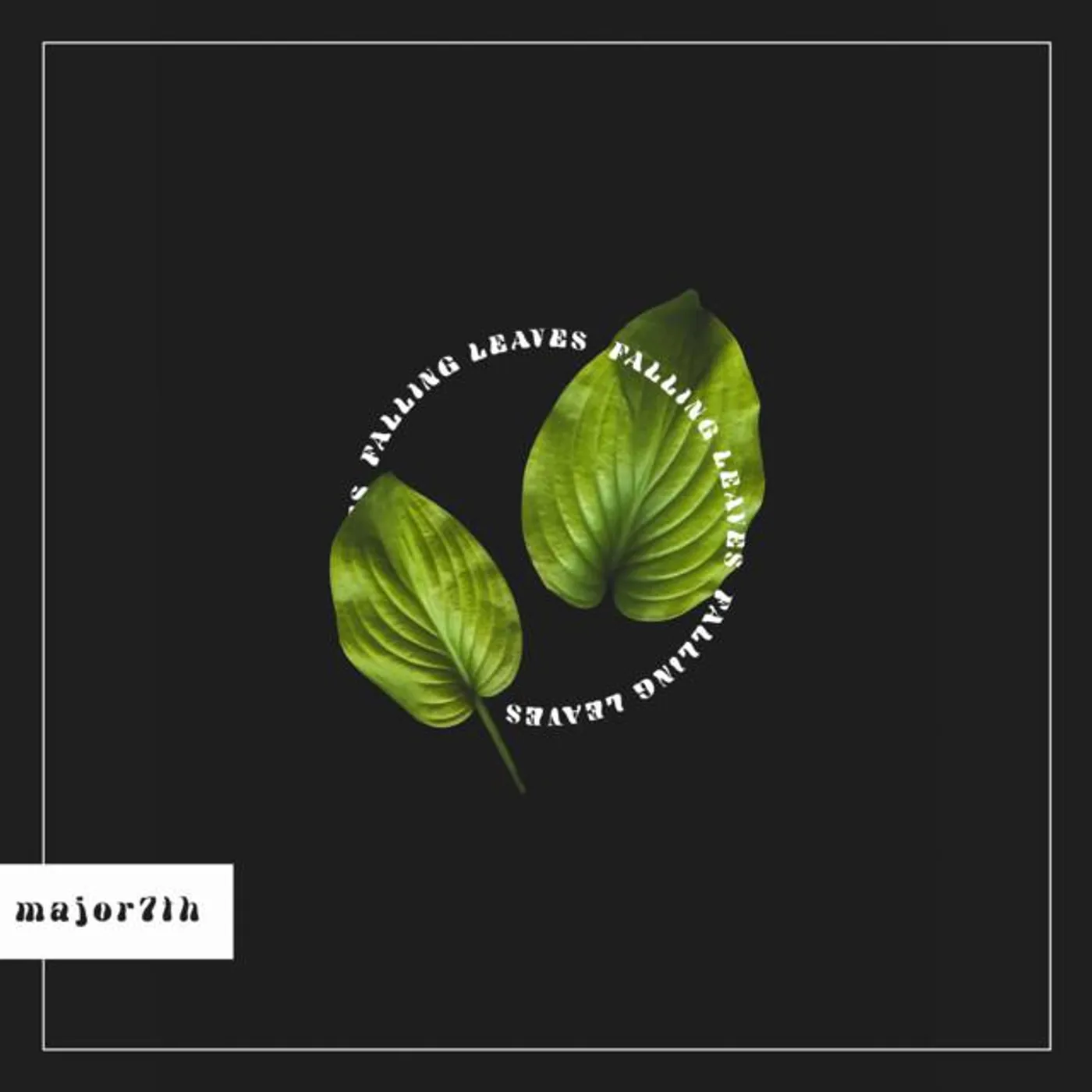 Major 7th Brand Page