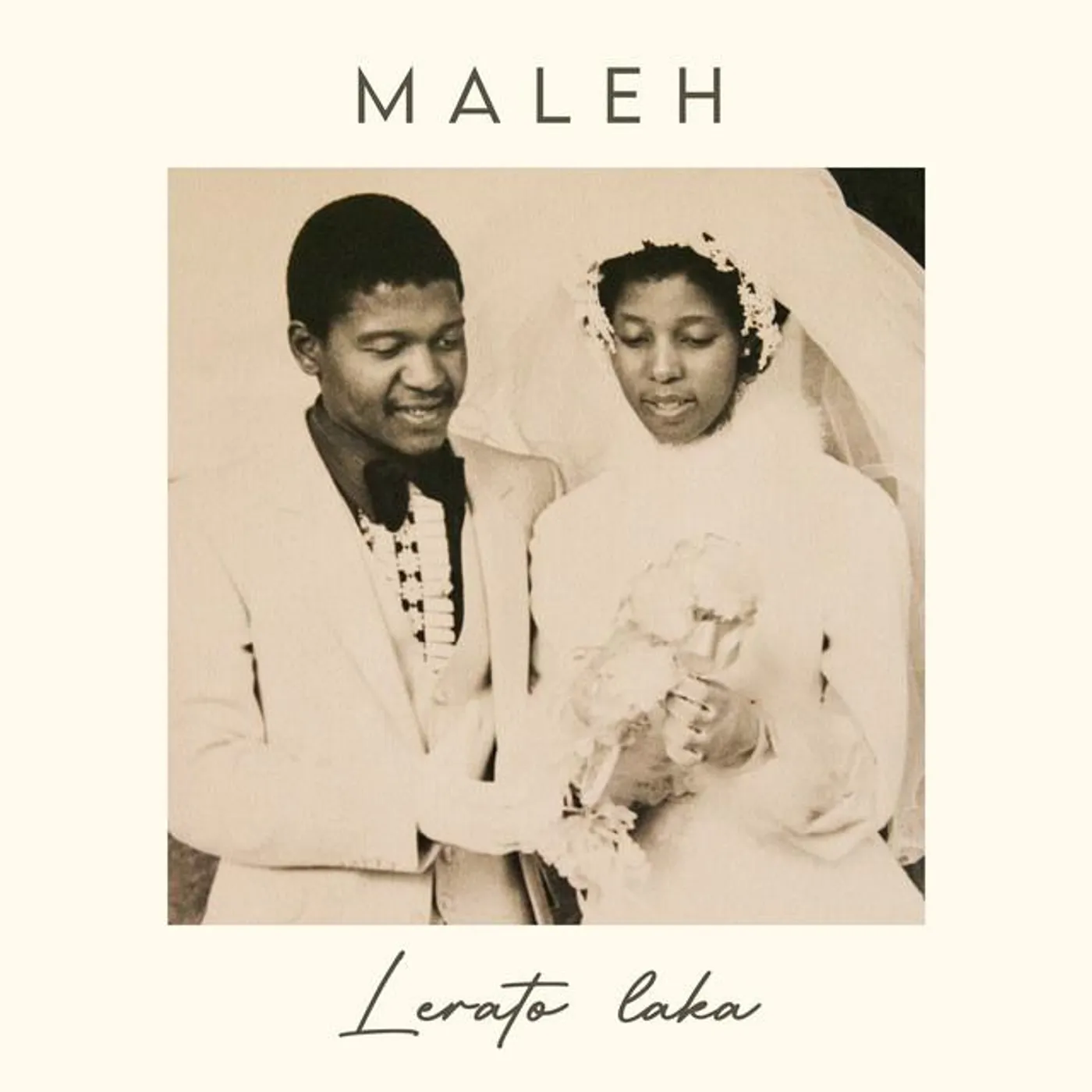 Maleh Brand Page
