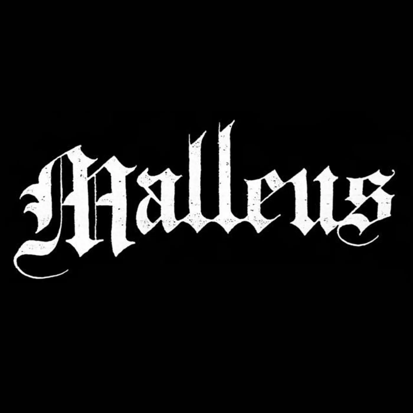Malleus