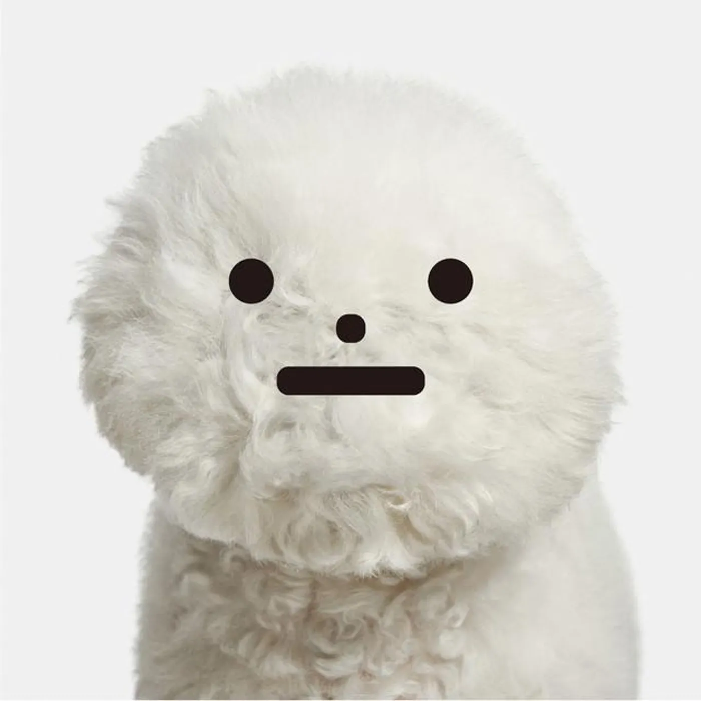 Mameyudoufu Brand Page