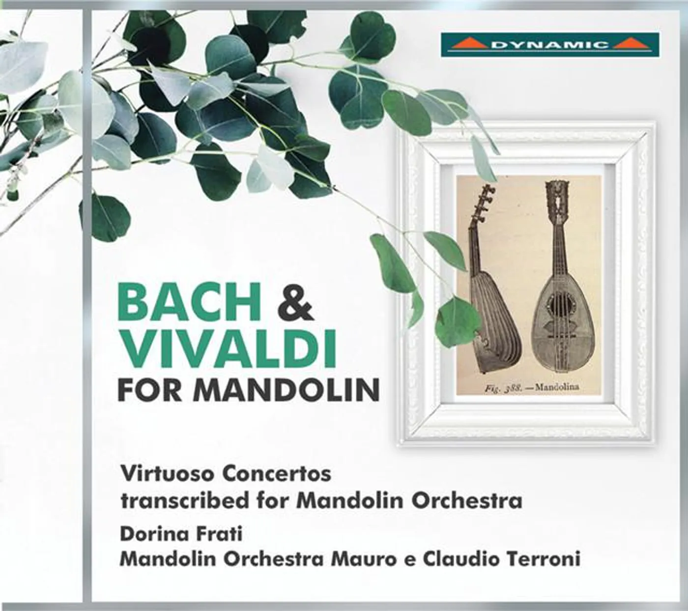 Mandolin Orchestra Mauro e Claudio Terroni