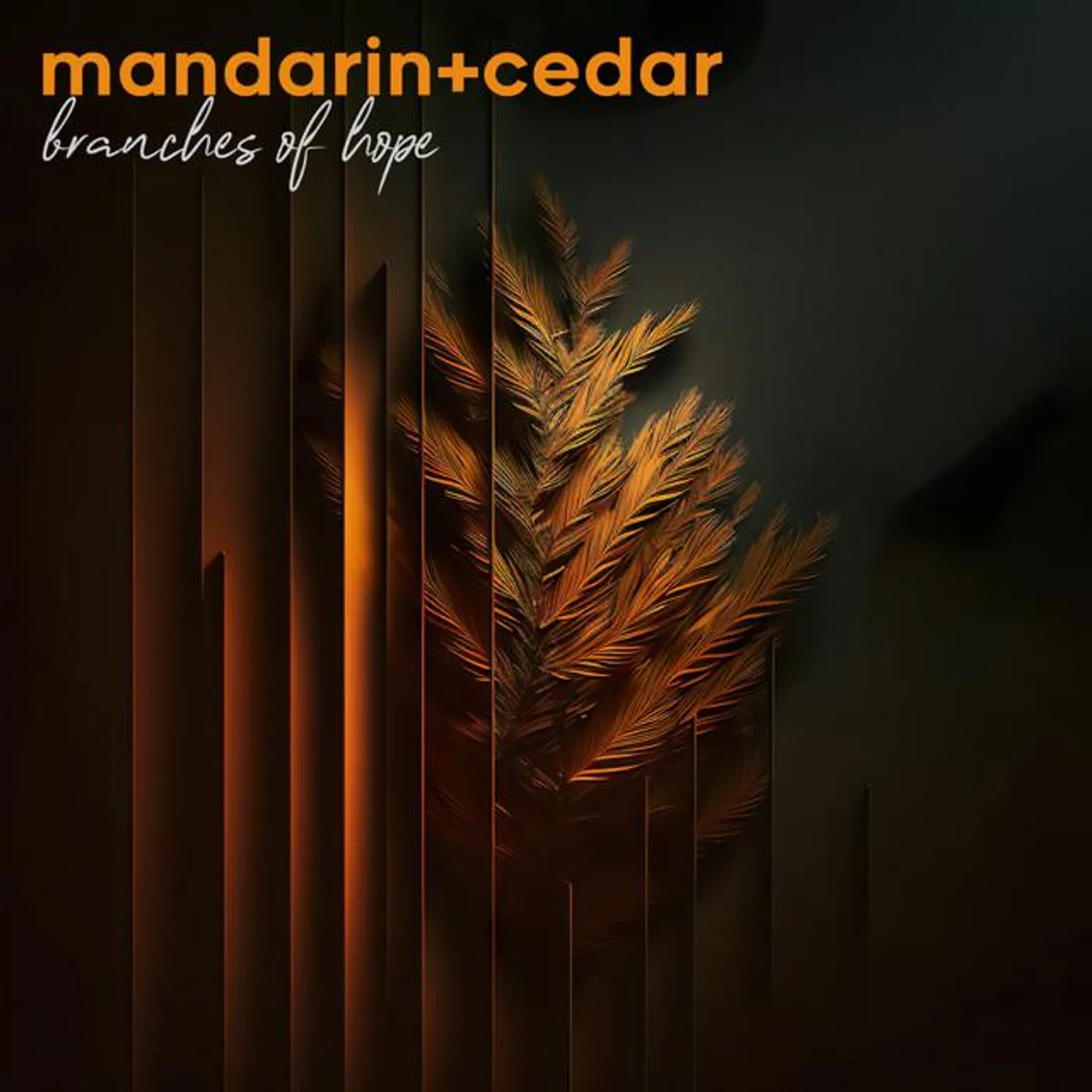 mandarin + cedar Brand Page